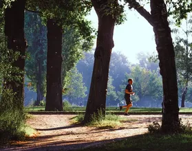 improve endurance and prolong